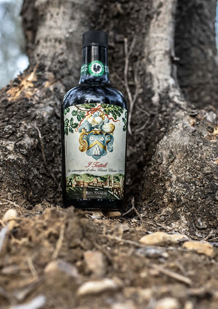 bottiglia-nel-tronco-ulivo