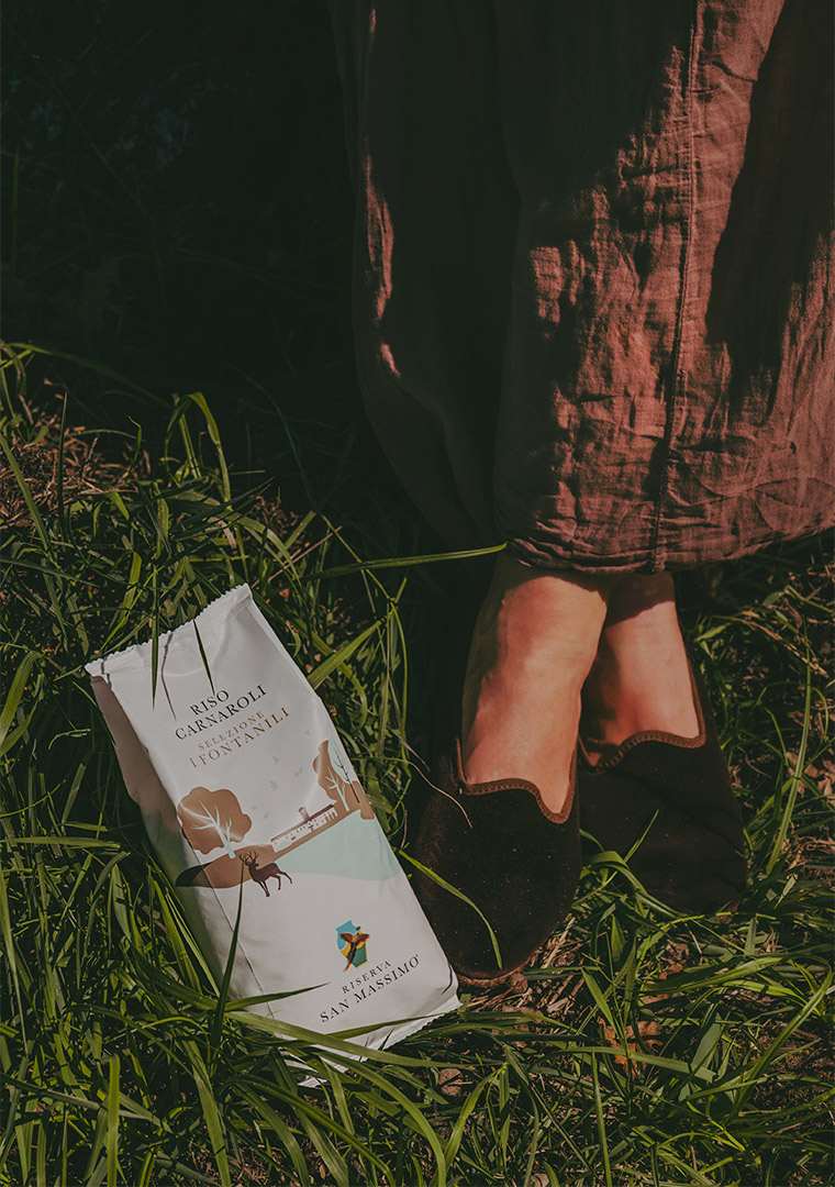 Riserva-San-Massimo-2025-79