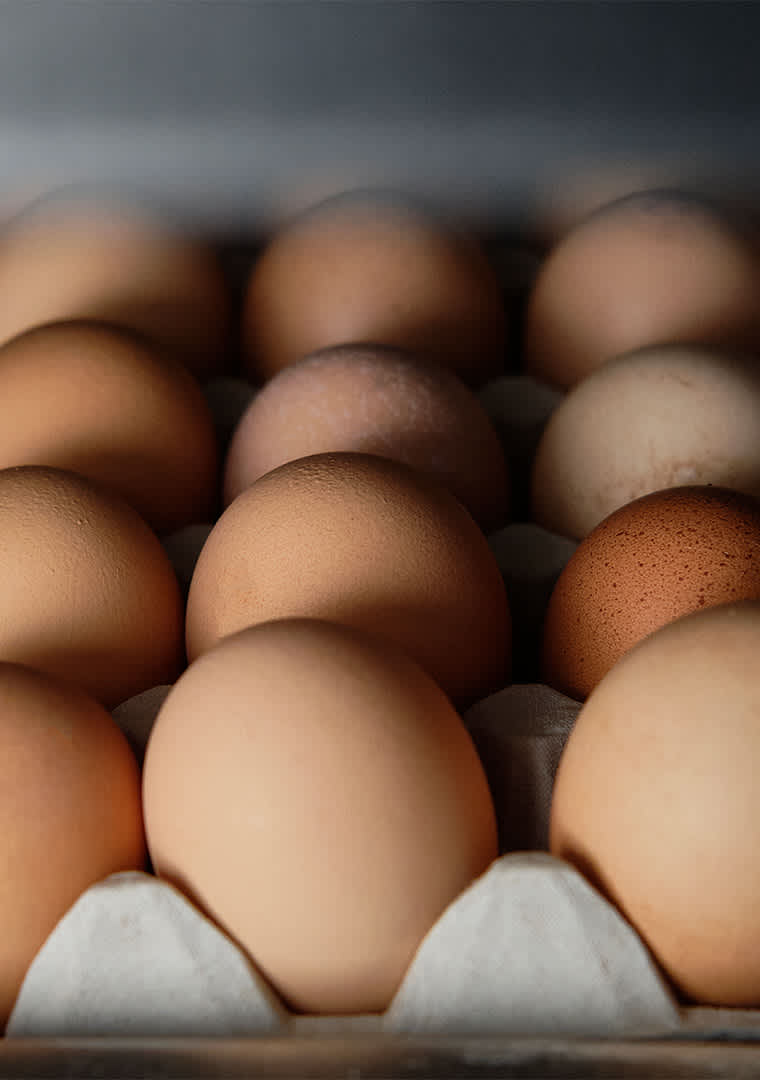 11894-produzione_DSF2231