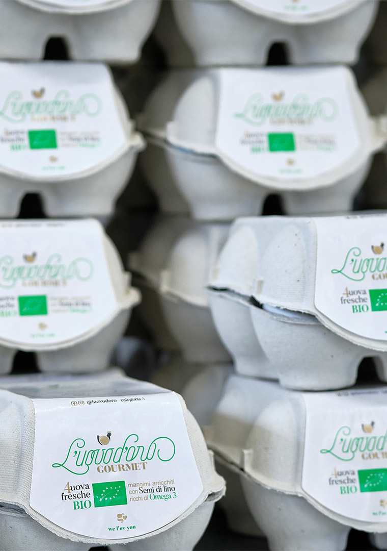 11951-produzione_DSF9847