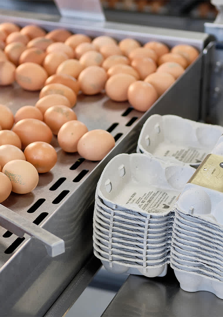 11952-produzione_DSF9856