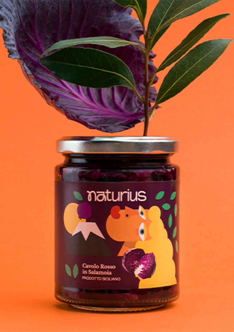Naturius_0011_cavolo-rosso-in-salamoia