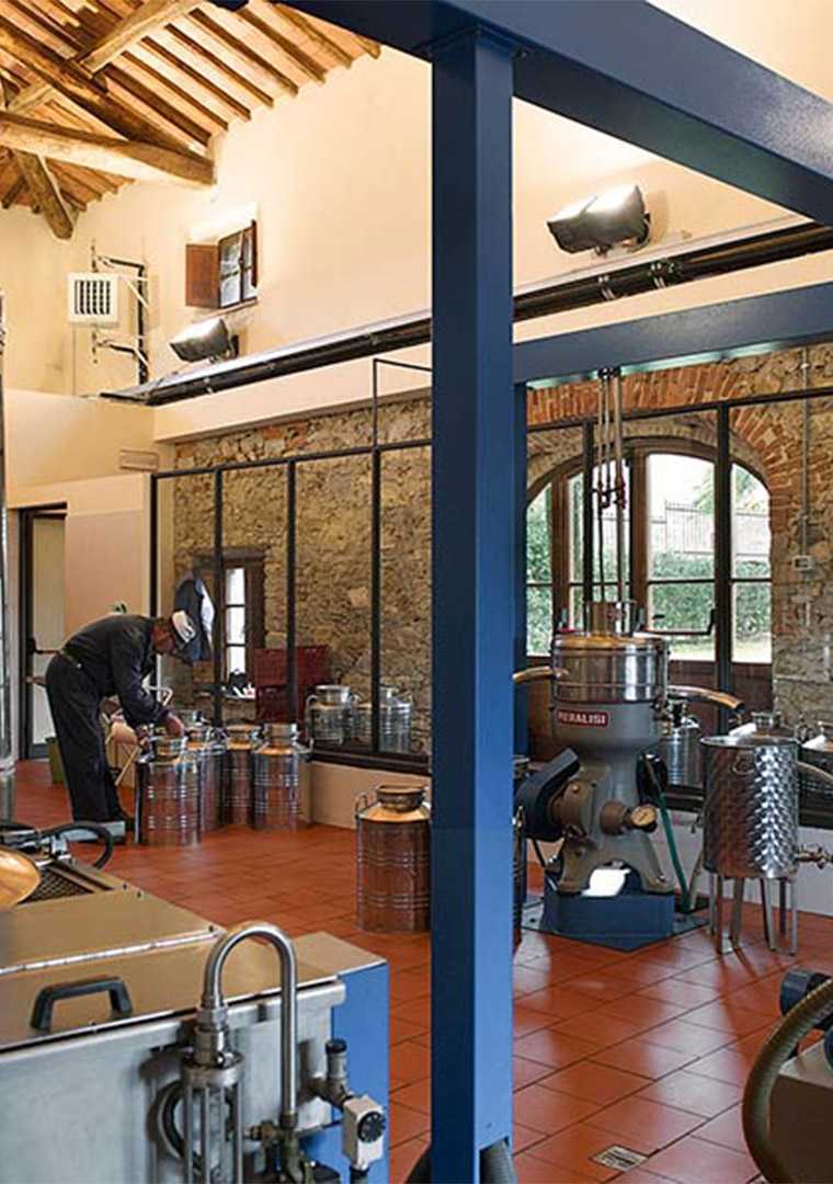 Frantoio-Castello-di-Ama