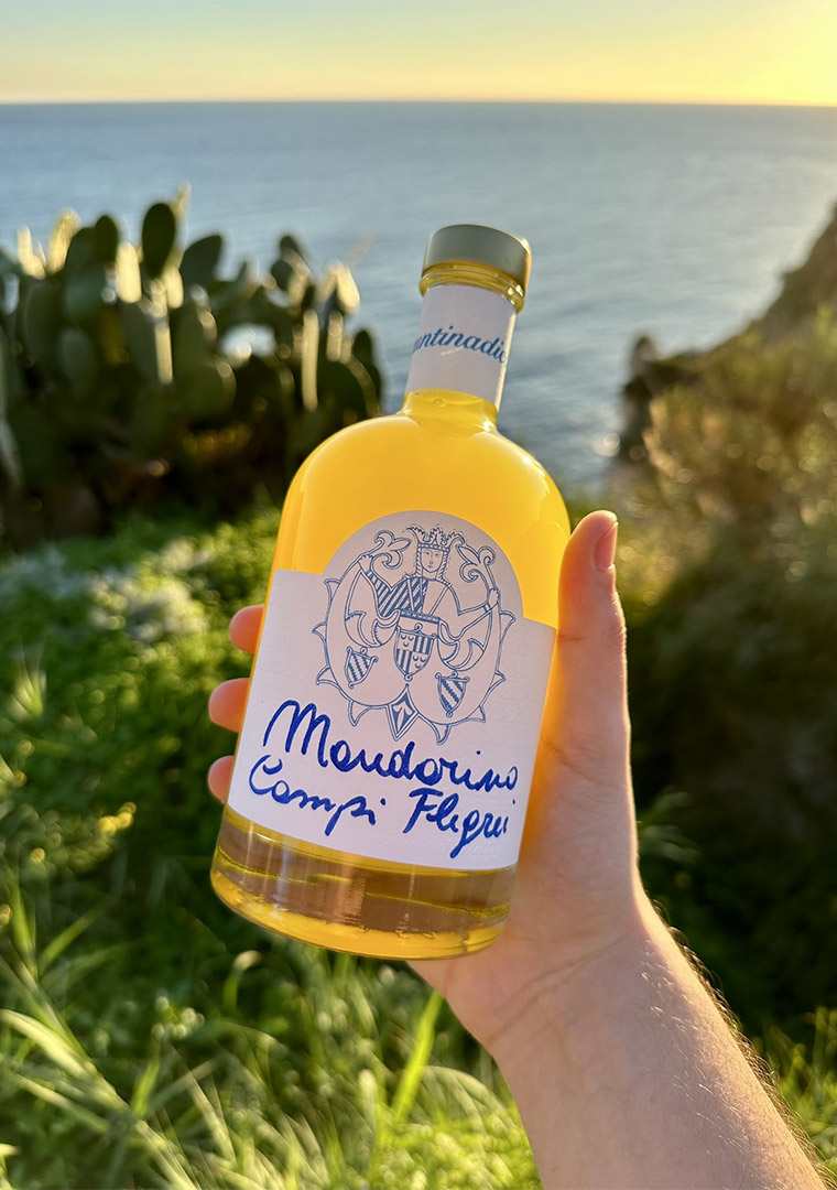 mandarino-classico-campi-flegrei-hand-held-assuntina-di-capri-1