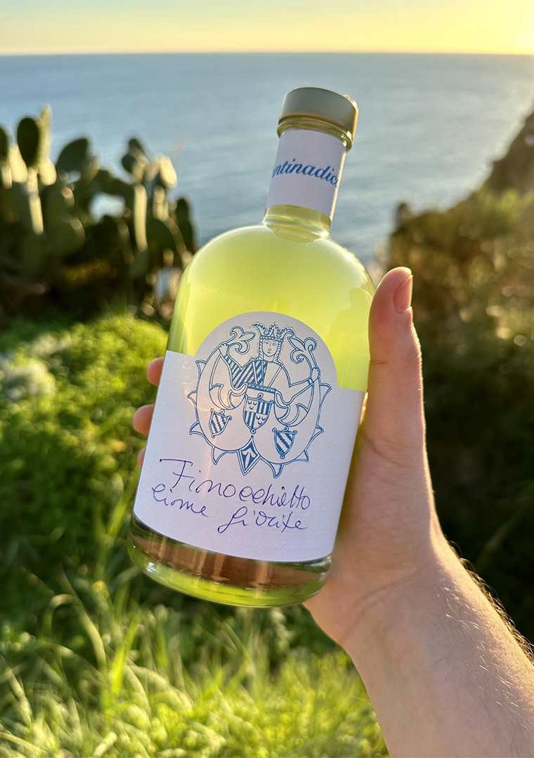 finocchietto-cime-fiorite-ischia-fennel-liqueur-hand-held-assuntina-di-capri