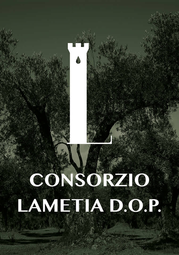 Profilo-Consorzio