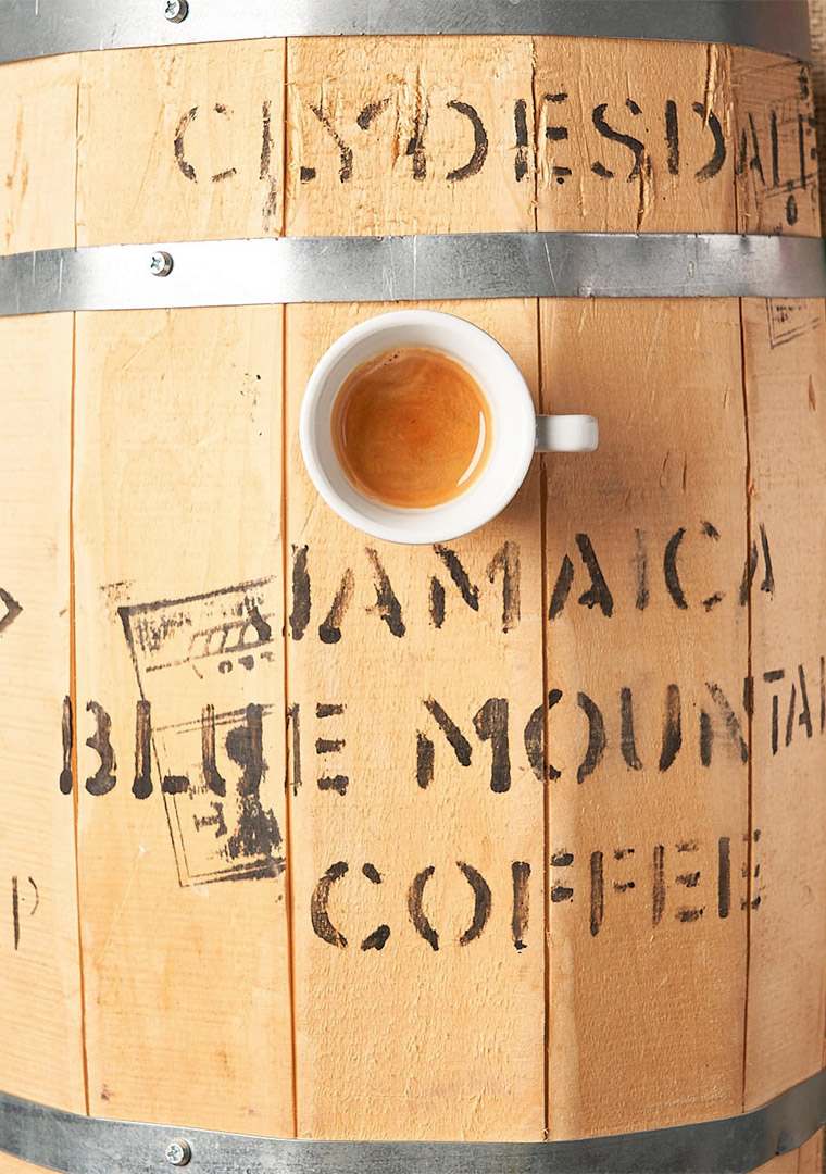 464312464_1214004136959801_254609453238450250_n