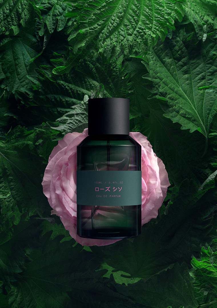 DP-ENG-MARIEJEANNE-2025-compressed-17