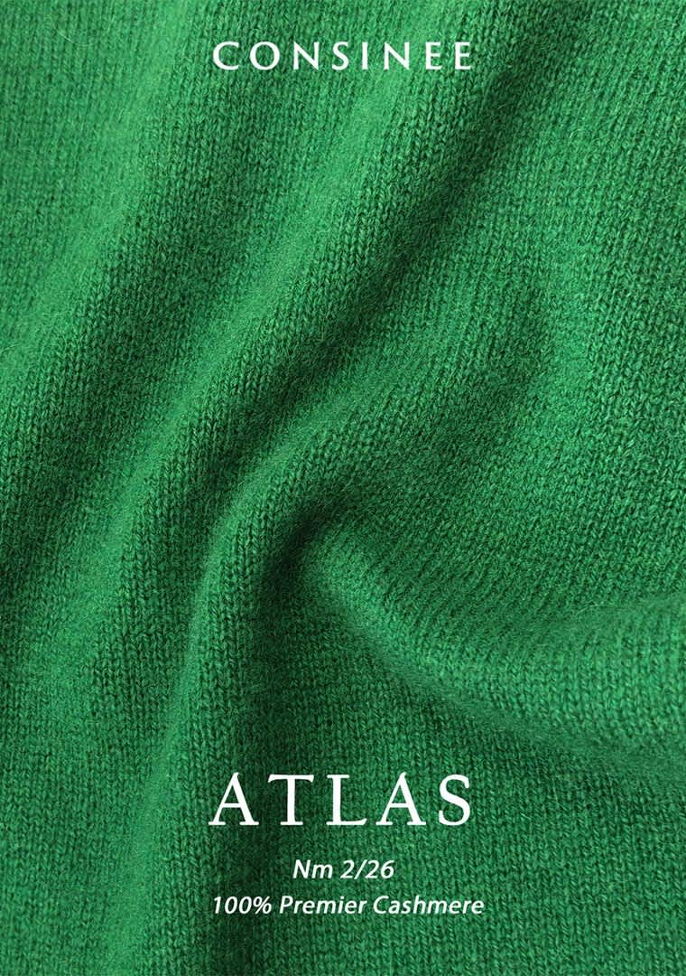 3.1-ATLAS
