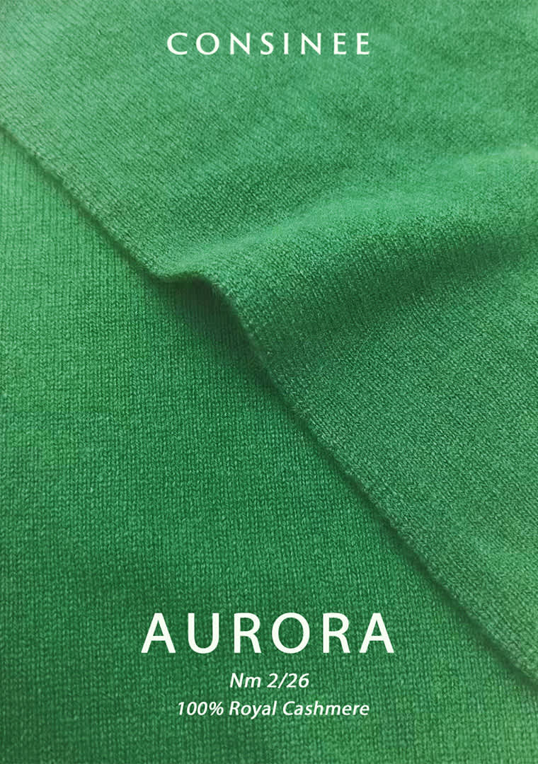 1.1-AURORA