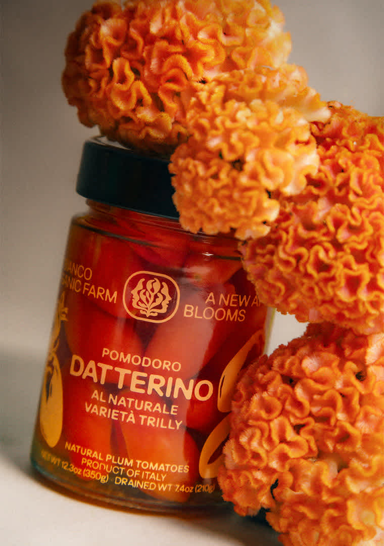 DATTERINO