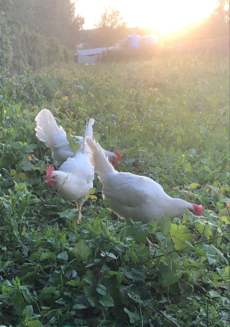 5A914007-7425-420C-ACC8-7011DB7EC4D6