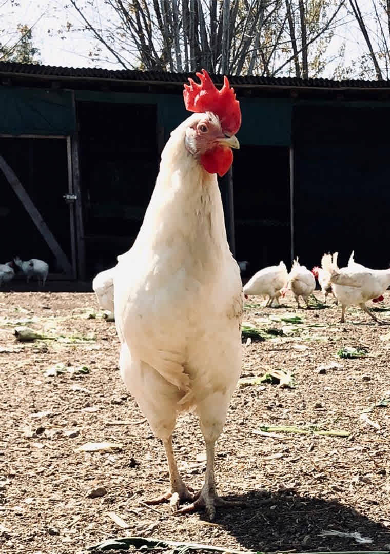 b0ce70e1-c0a8-4d33-92cf-6f73acc05400