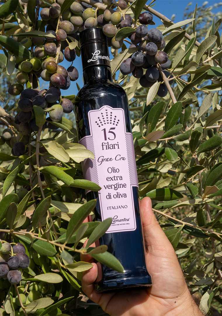 494102962_1183901763746881_917650555215162169_n