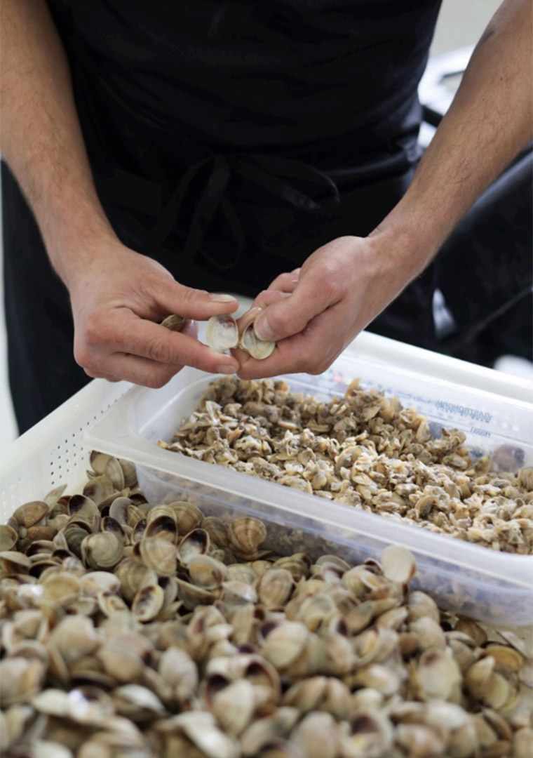 sgusciato-a-mano-pitti