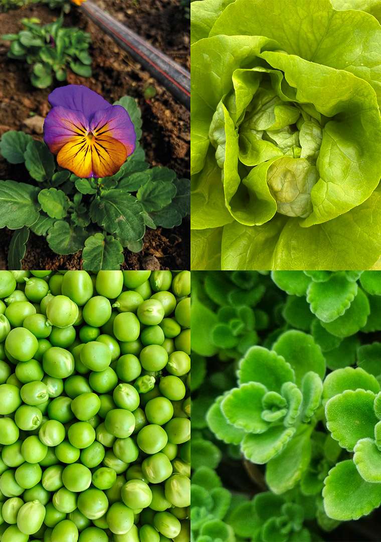 CATALOGO-NANOMETRO-16