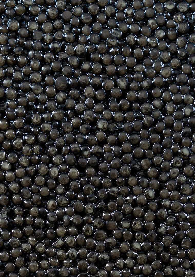 DSC00668---Asetra-italia