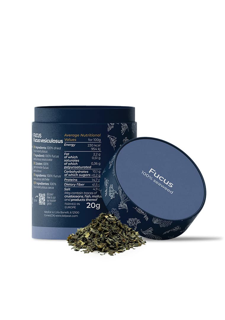 Paper-Tube-Mockup-fucus