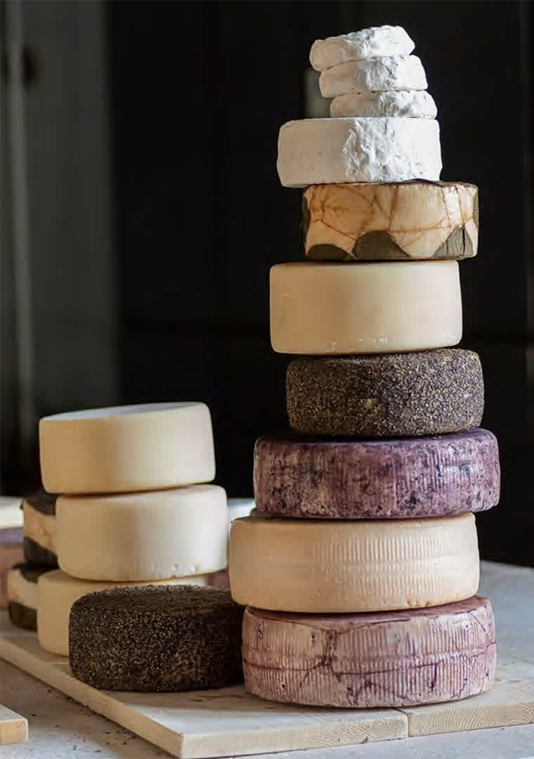 CATALOGO-BARLOTTI-32