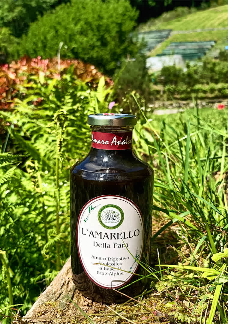 L_Amarello-Della-Fara