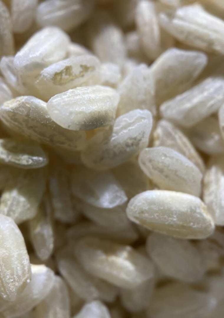 TC-CarnaroliClassico-zoom-1024x768