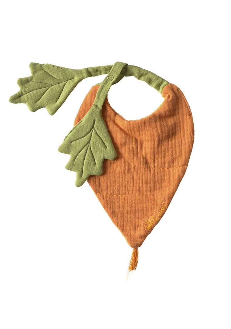 CARROT-BIB-1