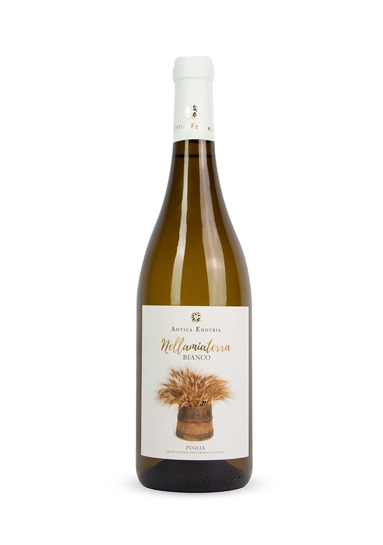 Nellamiaterra_bianco_new