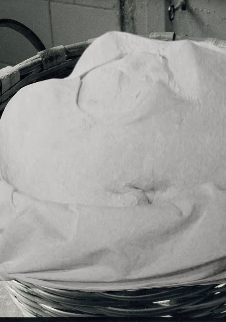 Lievito_madre_dogliani-_2