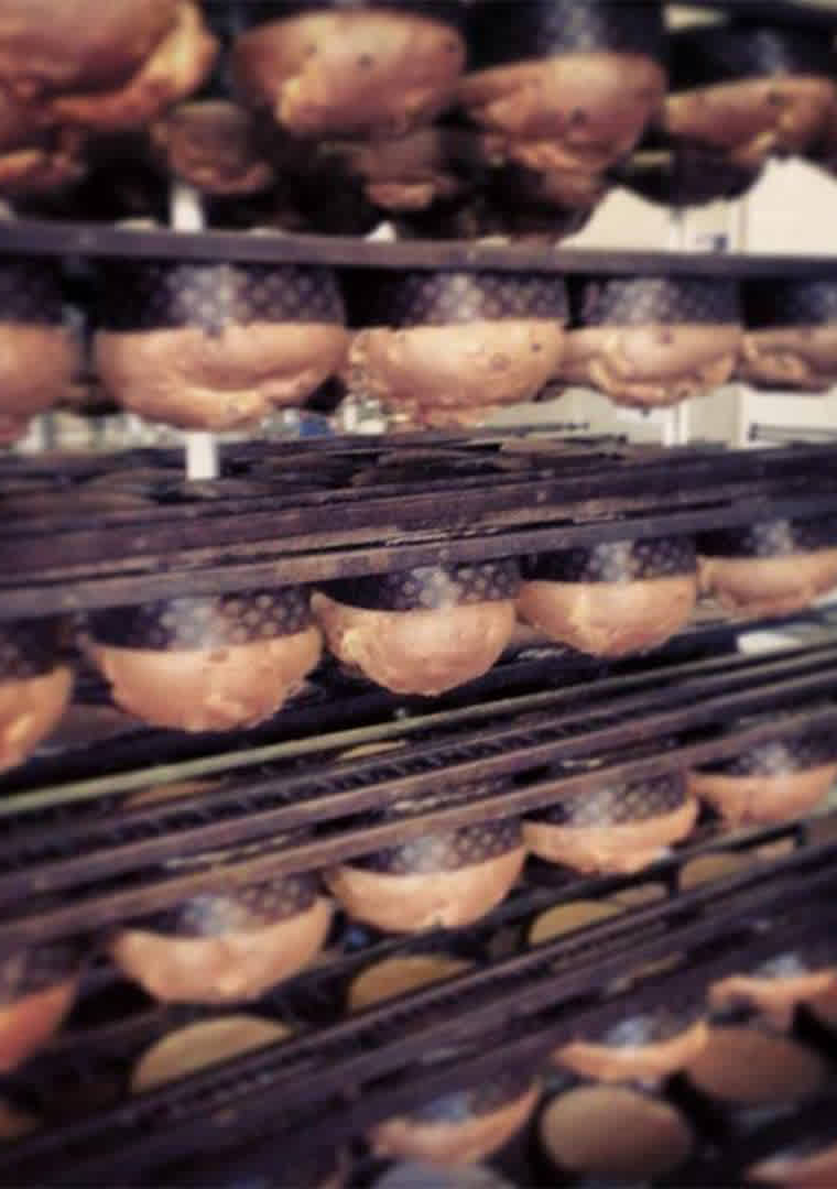 1463318_602199436482496_2117048095_n-_5