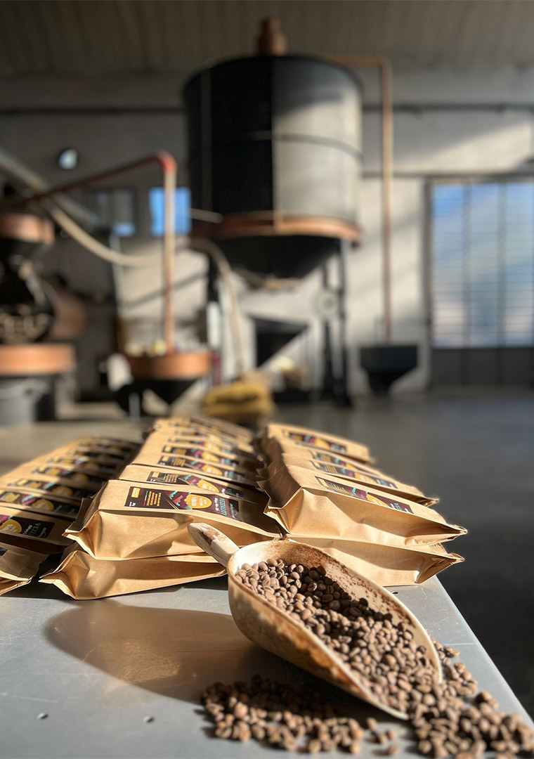 IMG-20241228-WA0004_1