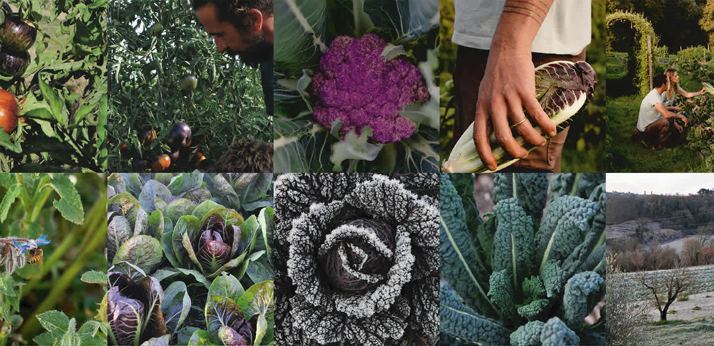 herobanner_QUINTOSAPORE_T19