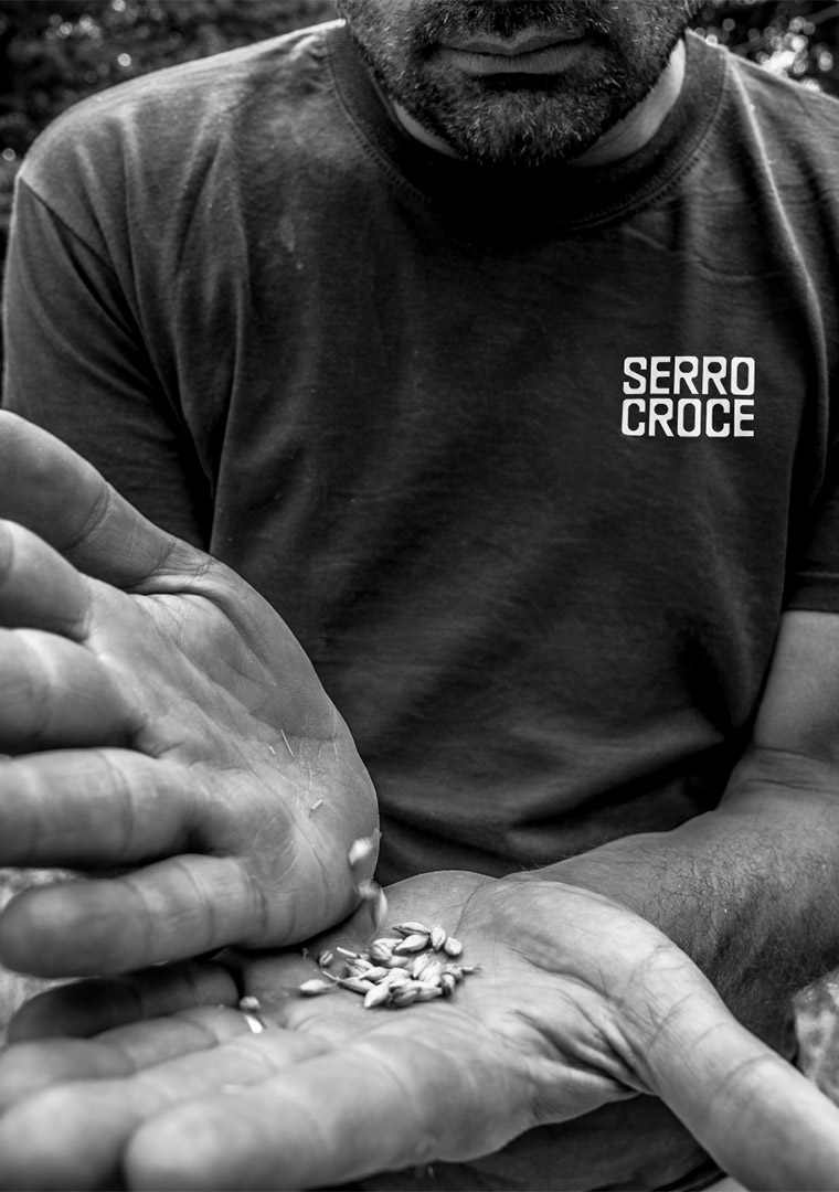 SC_IMAGE_1000X1300_8