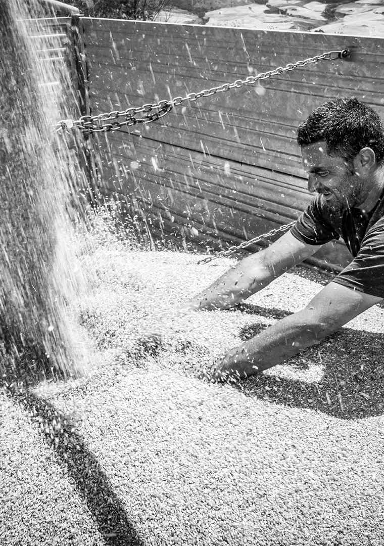 SC_IMAGE_1000X1300_7