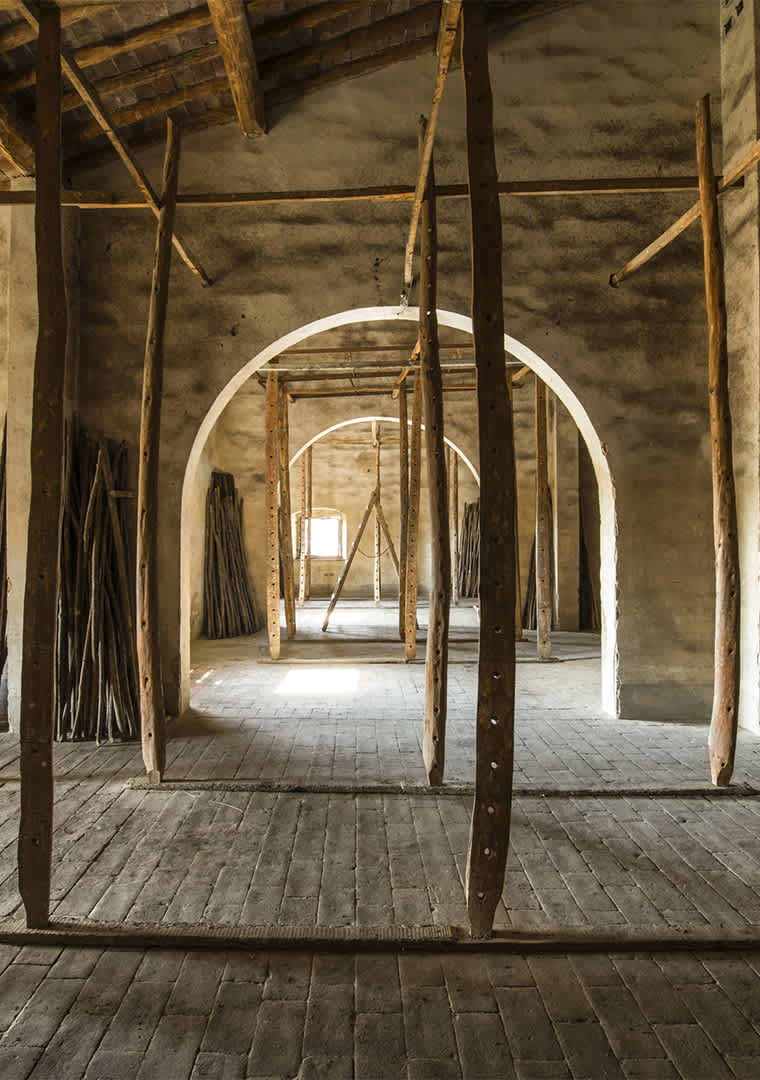 Vinsantaia---By-Andrea-Vierucci