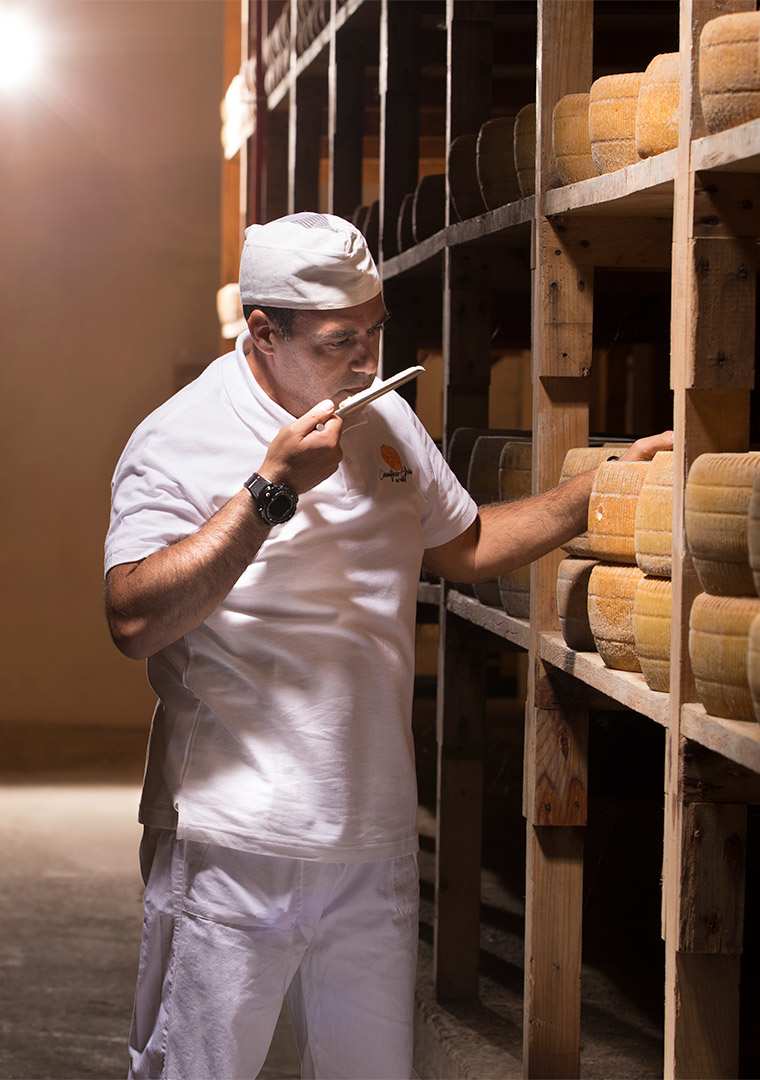 1_test-in-cantina-stampa_9979