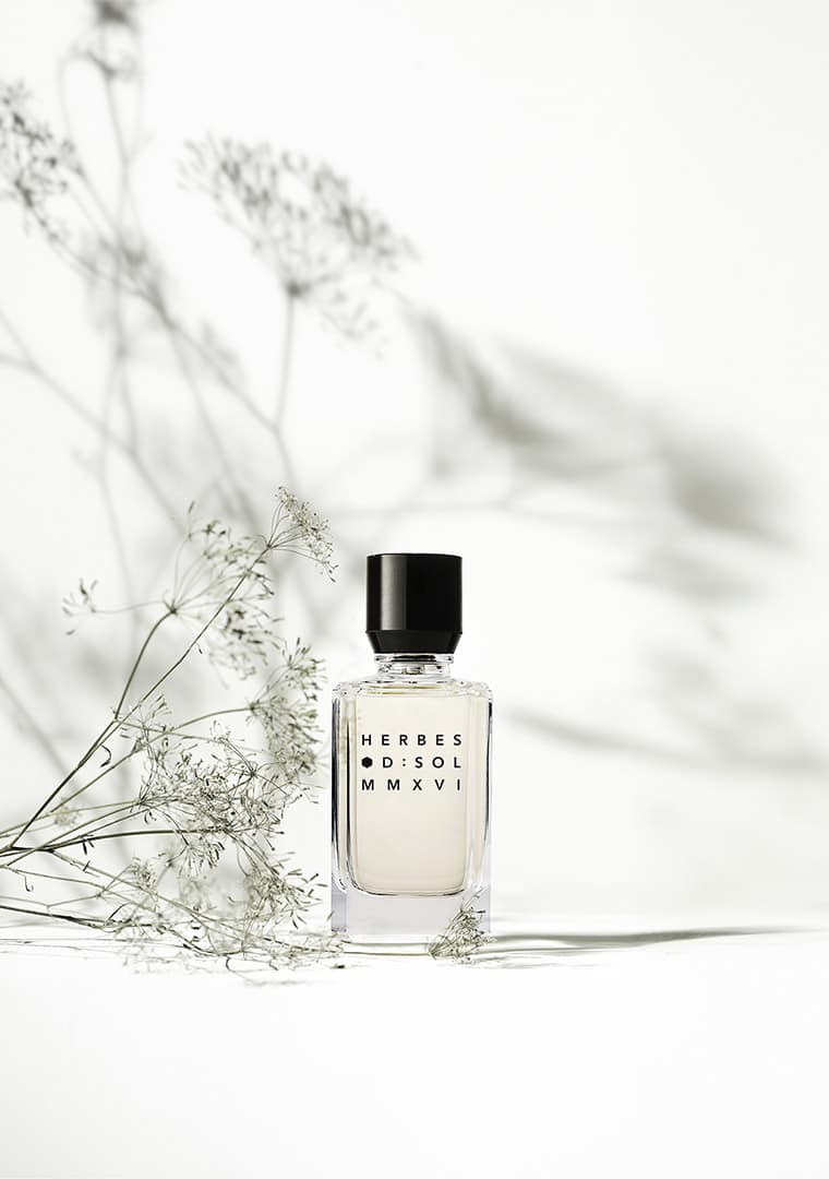 D_SOL_Herbes_24_KV