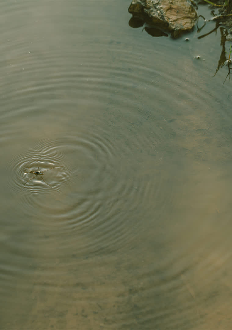 Copper_River00