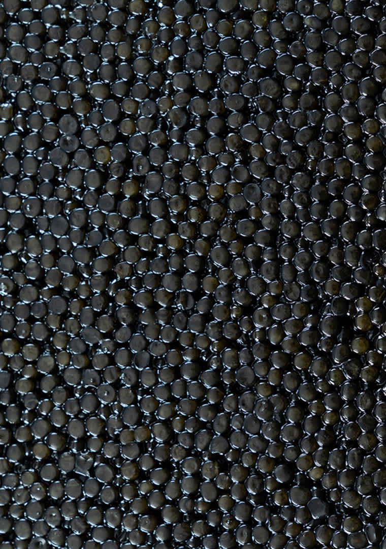 cru-caviar-caviale-imperial-macro