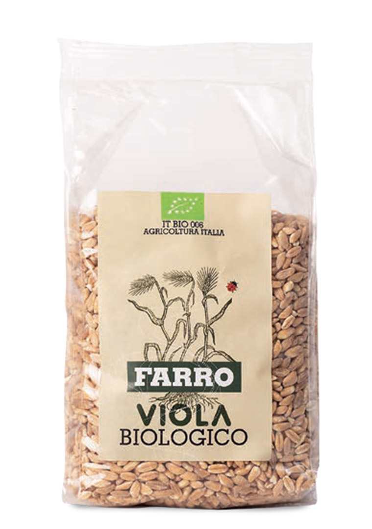 Senza-titolo-13