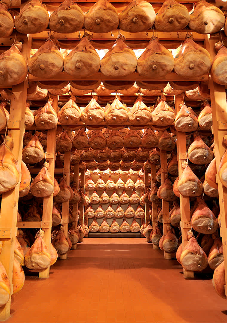 CANTINA