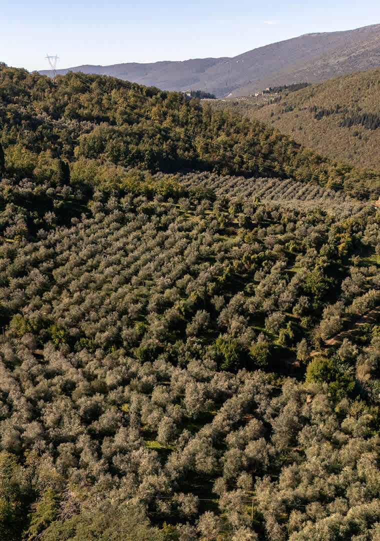 RIGHI14-DJI_20241104113758_0104_D