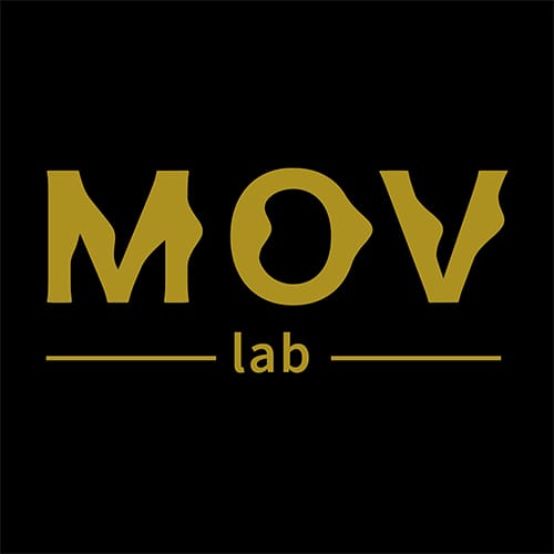 MOV LAB