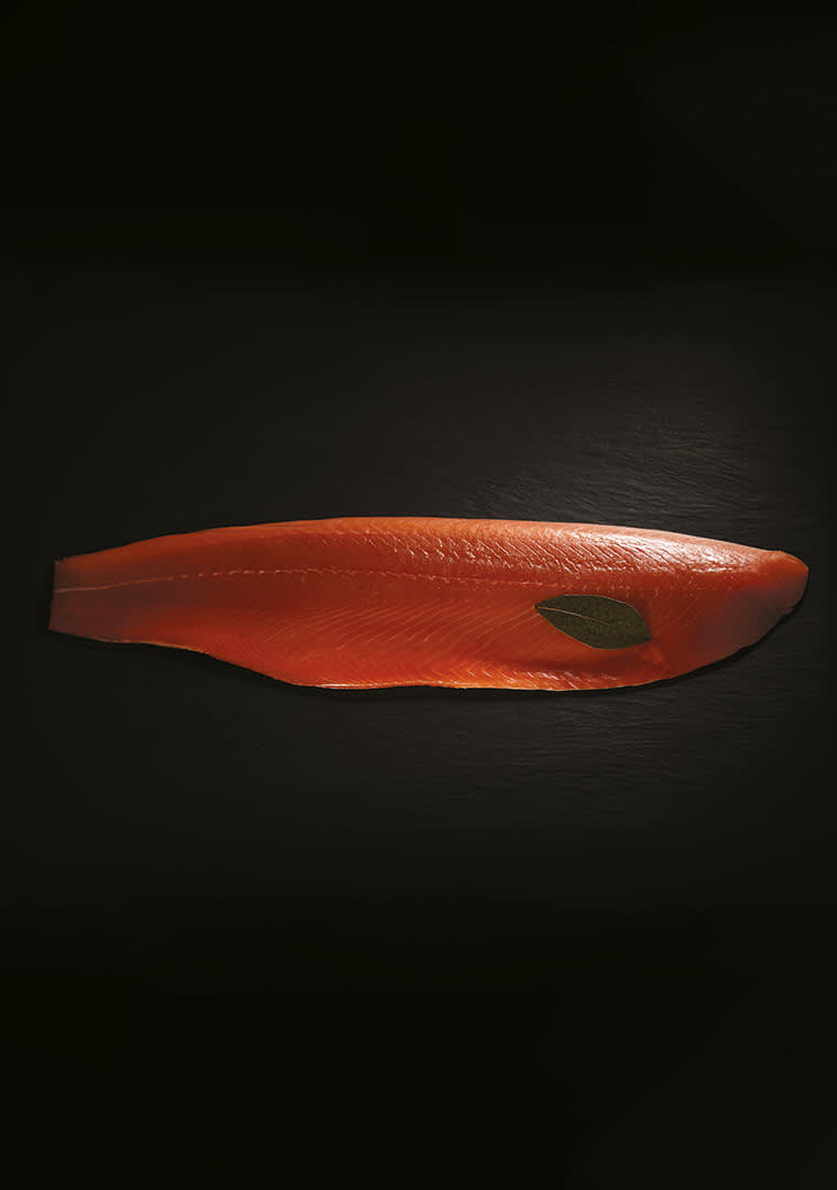 1000.2000_6480