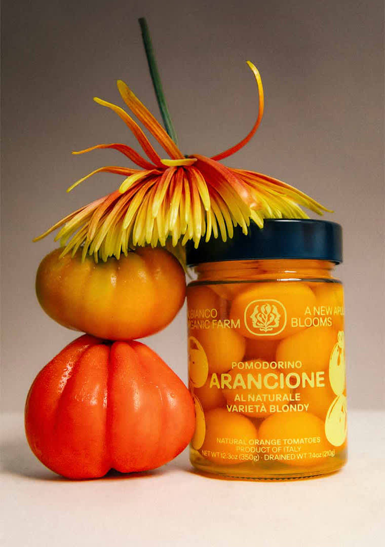 ARANCIONE-copia