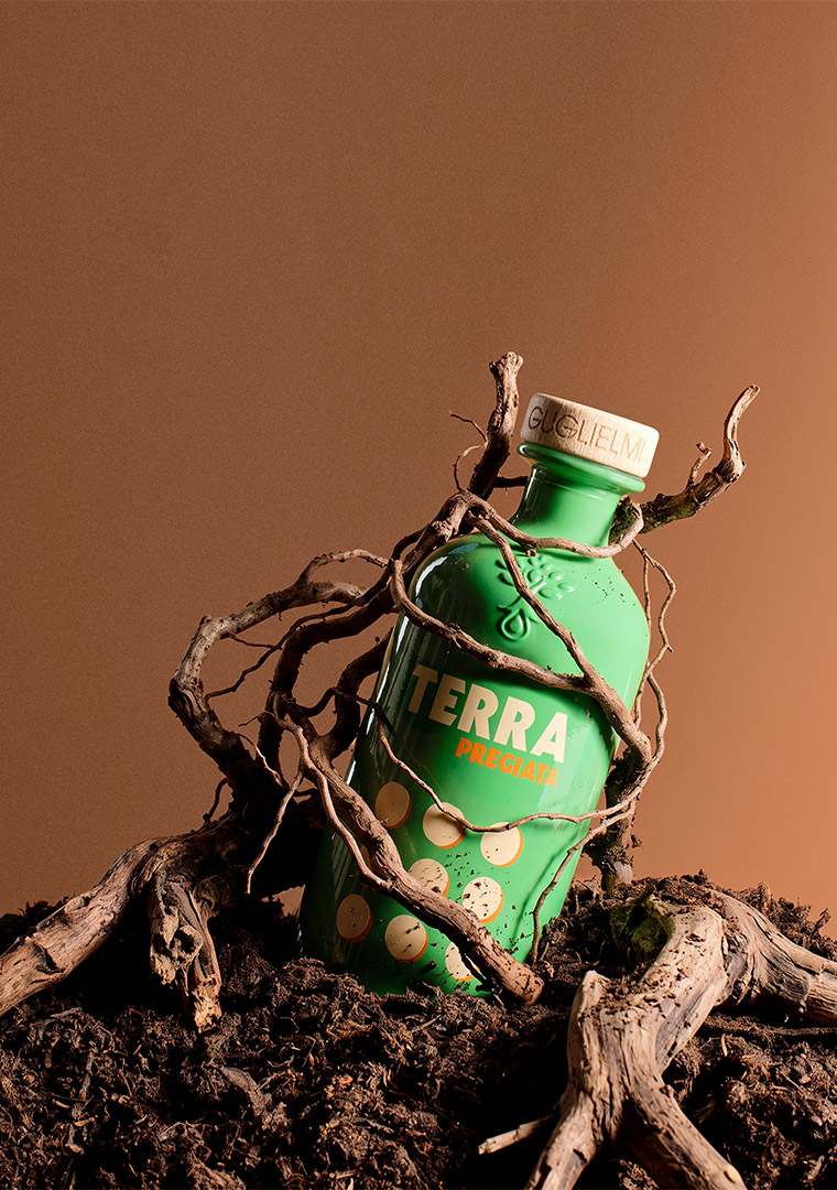Terra-3