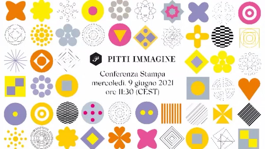 Pitti_10_web_conference